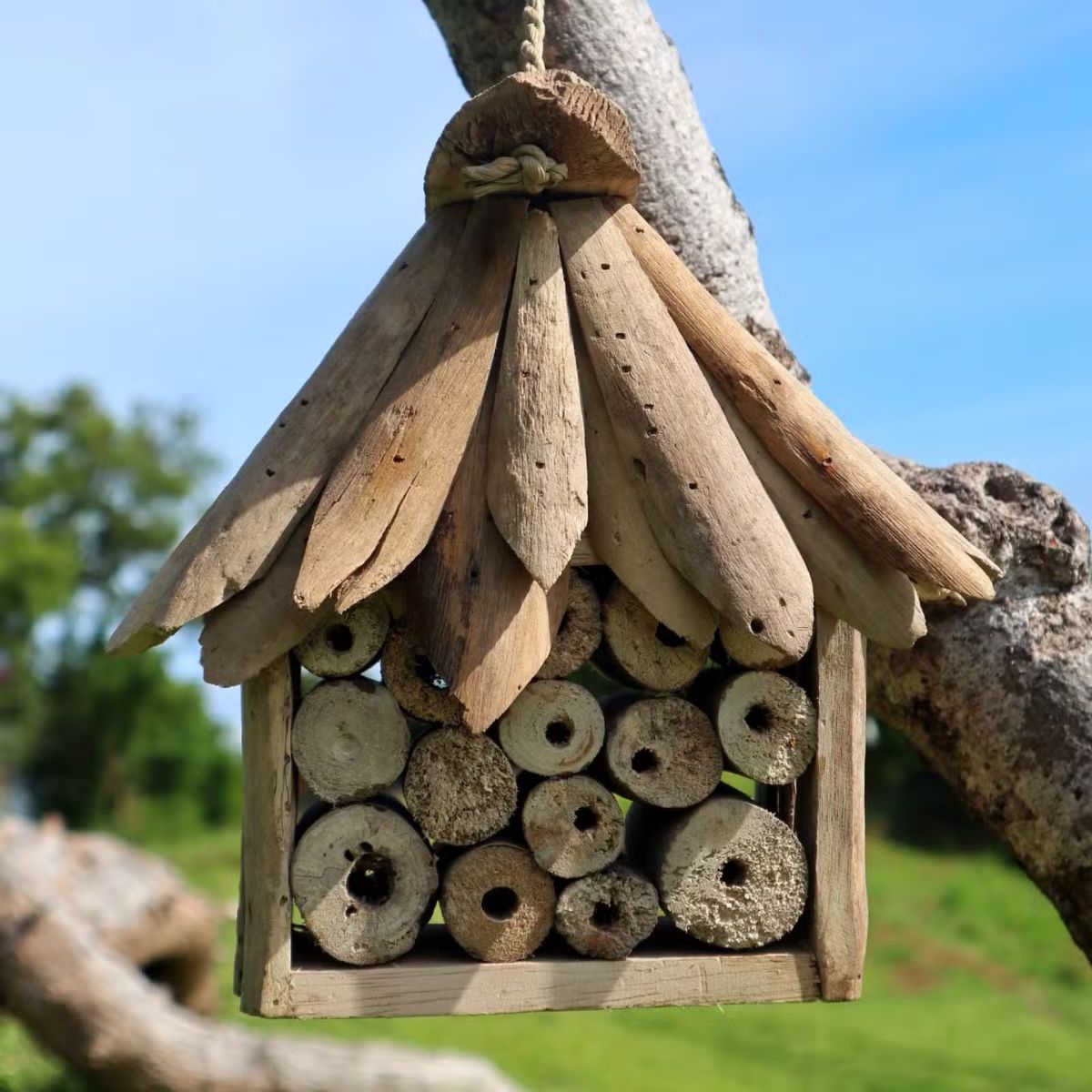 Driftwood Bee and Insect Box
