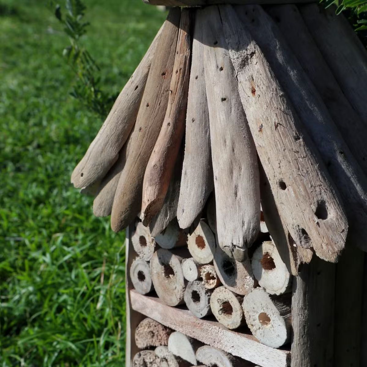 Driftwood Birdbox & Bee Insect Box | Handmade Garden House
