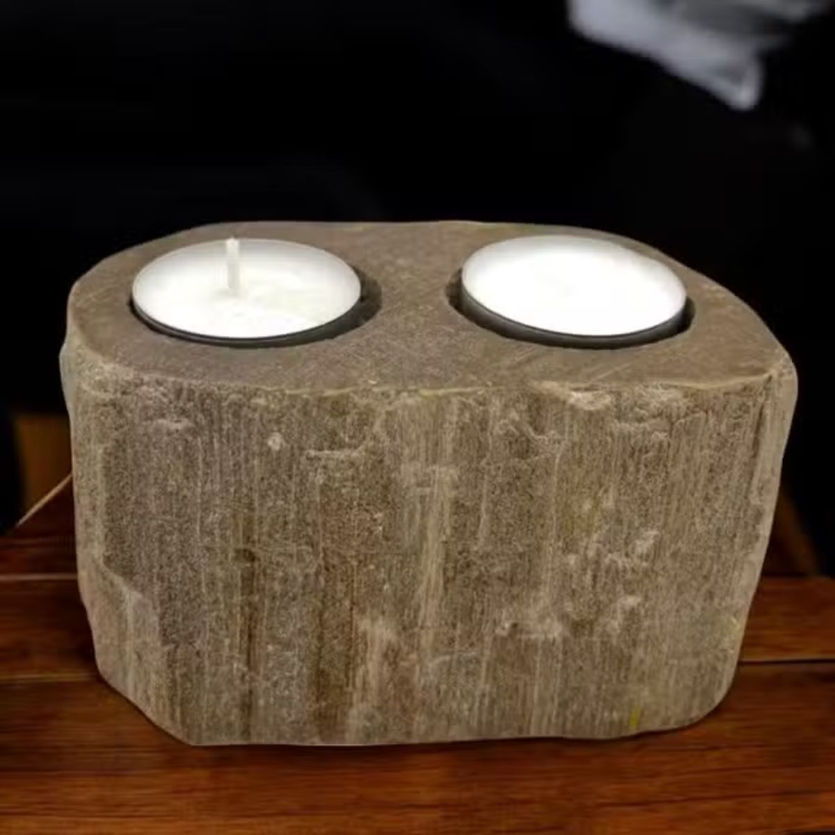 Petrified Wood Candle Holder - Double - Spencer Vibes