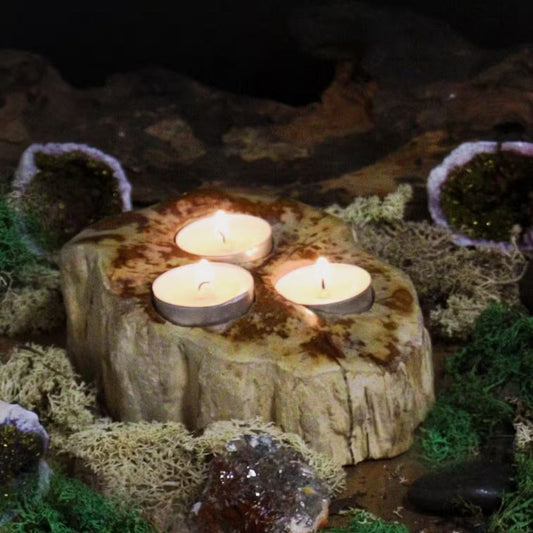 Petrified Wood Candle Holder - Triple - Spencer Vibes