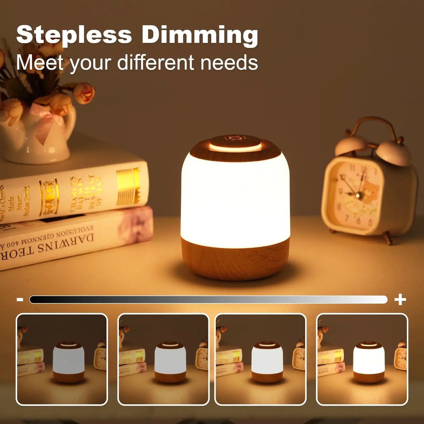 Night Light LED Touch Control Lamp | USB Rechargeable