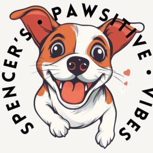 Spencer Vibes logo- mindful gifts for sale