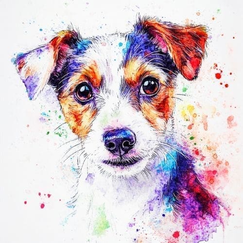Practising Mindful Self-Compassion ”“ Spencer”™s Kindness Lesson