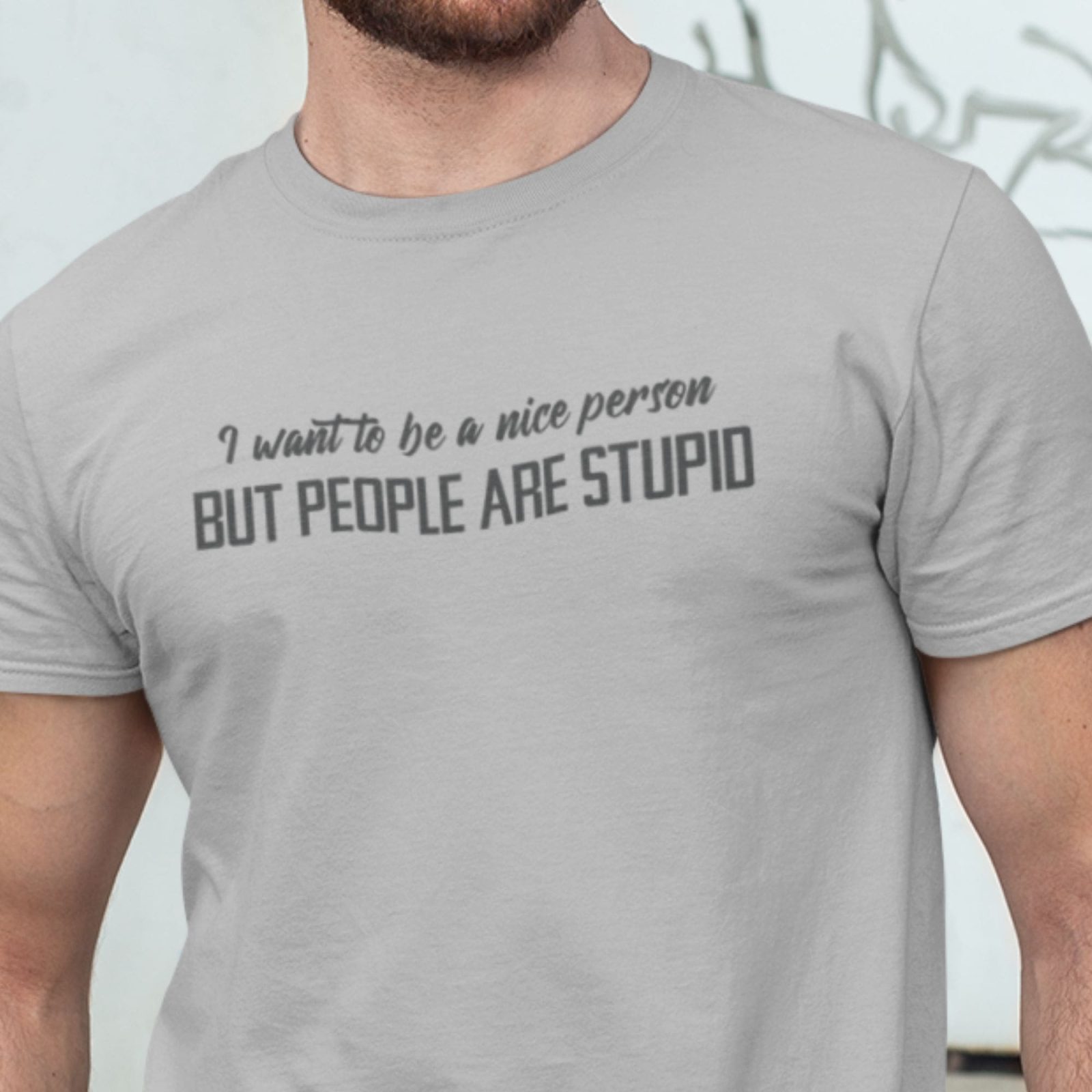 I Want To Be A Nice Person T-Shirt