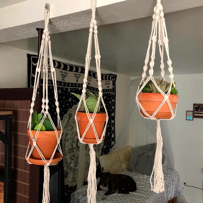 Three small green plants in Macrame Handmade Plant Hanger Baskets hang from the ceiling. Behind them, an astrology tapestry decorates the wall. A dog lies on a bed with cushions in a cozy, softly lit room.