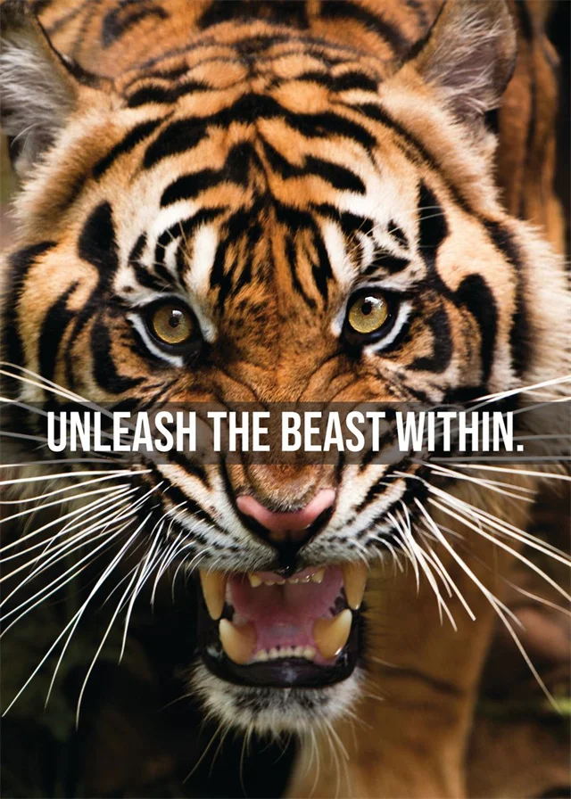 Motivational Unframed Posters- Animals - Image 26