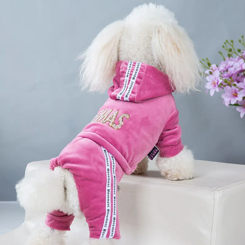 A fluffy white dog sits on a light-colored ottoman, wearing the Puppy Girl Hoodies Jumpsuit with white stripes and glittery gold letters on the hood. A touch of purple flowers in the background adds charm to this stylish look.