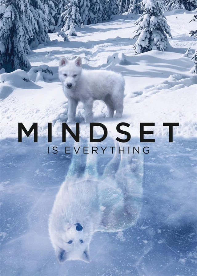 Motivational Unframed Posters- Animals - Image 14