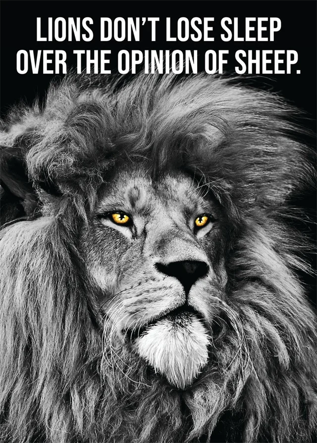 Motivational Unframed Posters- Animals - Image 21