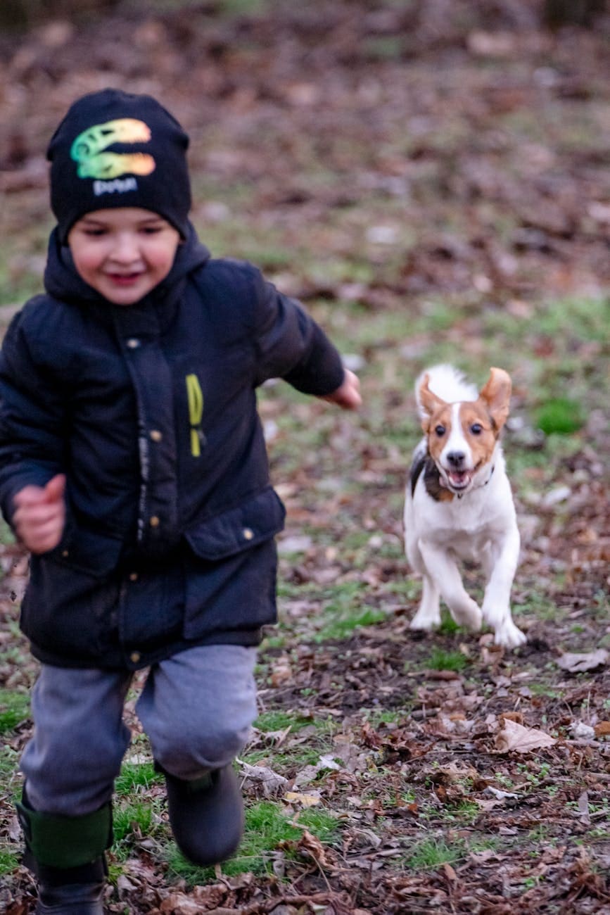 Photo by Alex P on <a href="https://www.pexels.com/photo/dog-running-towards-a-young-boy-10758392/" rel="nofollow">Pexels.com</a>