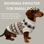 A small brown dachshund wears the Bohemia Sweater for Small Dogs—a cream, soft wool knit featuring blue, brown, and black geometric patterns that provide cozy comfort for your pup.