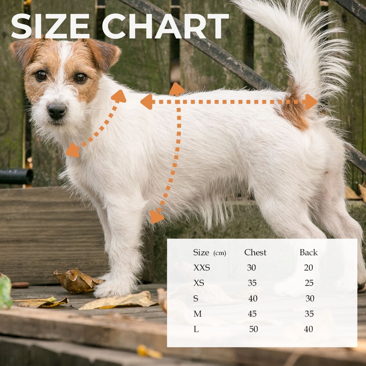 A small white and brown terrier stands outdoors. Dashed arrows indicate chest and back measurement points for the Warm Sweater for Dachshund. A text overlay reads Size Chart, showing a table of sweater sizes by chest (cm) and back (cm).