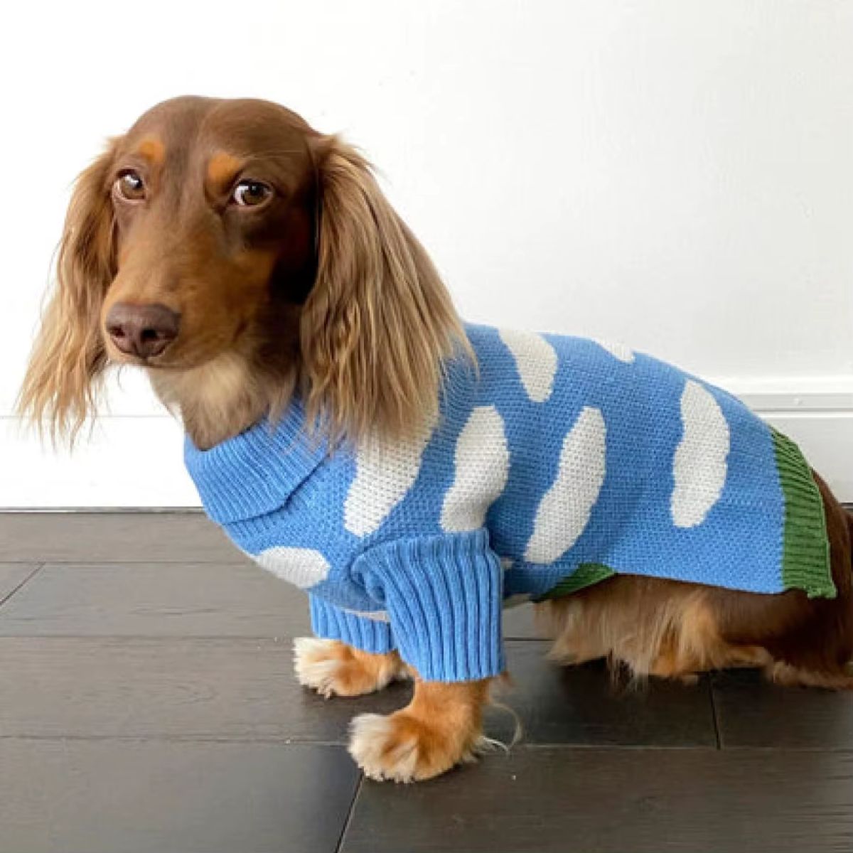 A brown dachshund sits on a dark wooden floor, wearing the Warm Sweater for Dachshund featuring blue and white cloud patterns. The dog looks calmly to the left, with a plain white wall as the background.