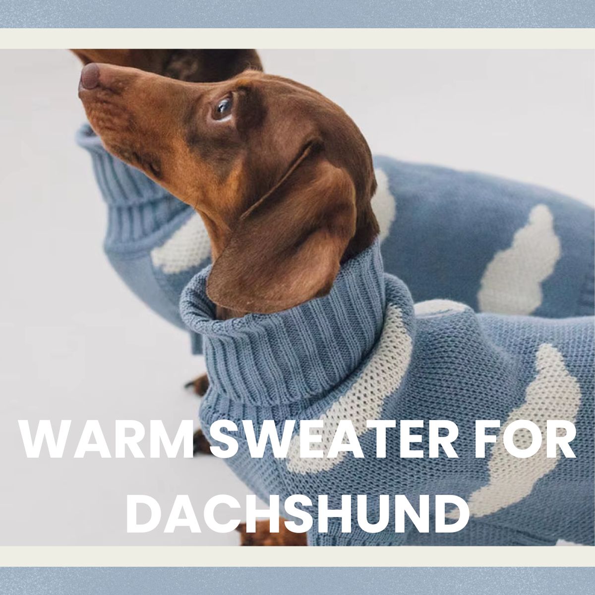 Warm Sweater for Dachshund