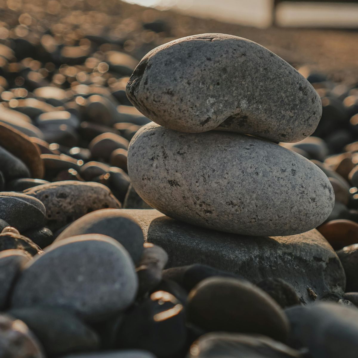 Two smooth, oval gray stones are stacked on a rocky beach among scattered pebbles. Warm sunlight casts soft shadows, highlighting their texture—like a peaceful visual reminder of how manifesting works through balance and intention. The background is softly blurred.