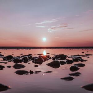 Smooth stones scattered across shallow water reflect the soft pink and purple hues of sunrise, creating a calm and peaceful seascape—a perfect setting to reflect on what is manifesting in your life as the sun rises gently over the horizon.