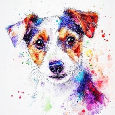 Practising Mindful Self-Compassion – Spencer’s Kindness Lesson