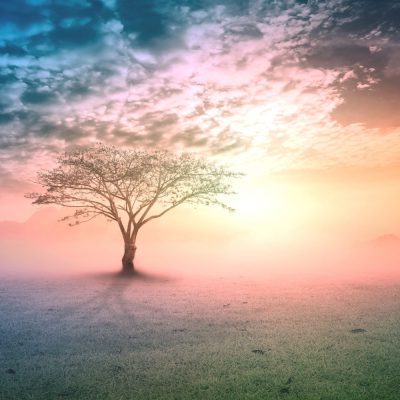 The Calm Within the Chaos: ADHD-Friendly Ways to Bring Order to Your Day