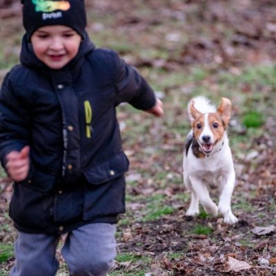 Photo by Alex P on <a href="https://www.pexels.com/photo/dog-running-towards-a-young-boy-10758392/" rel="nofollow">Pexels.com</a>